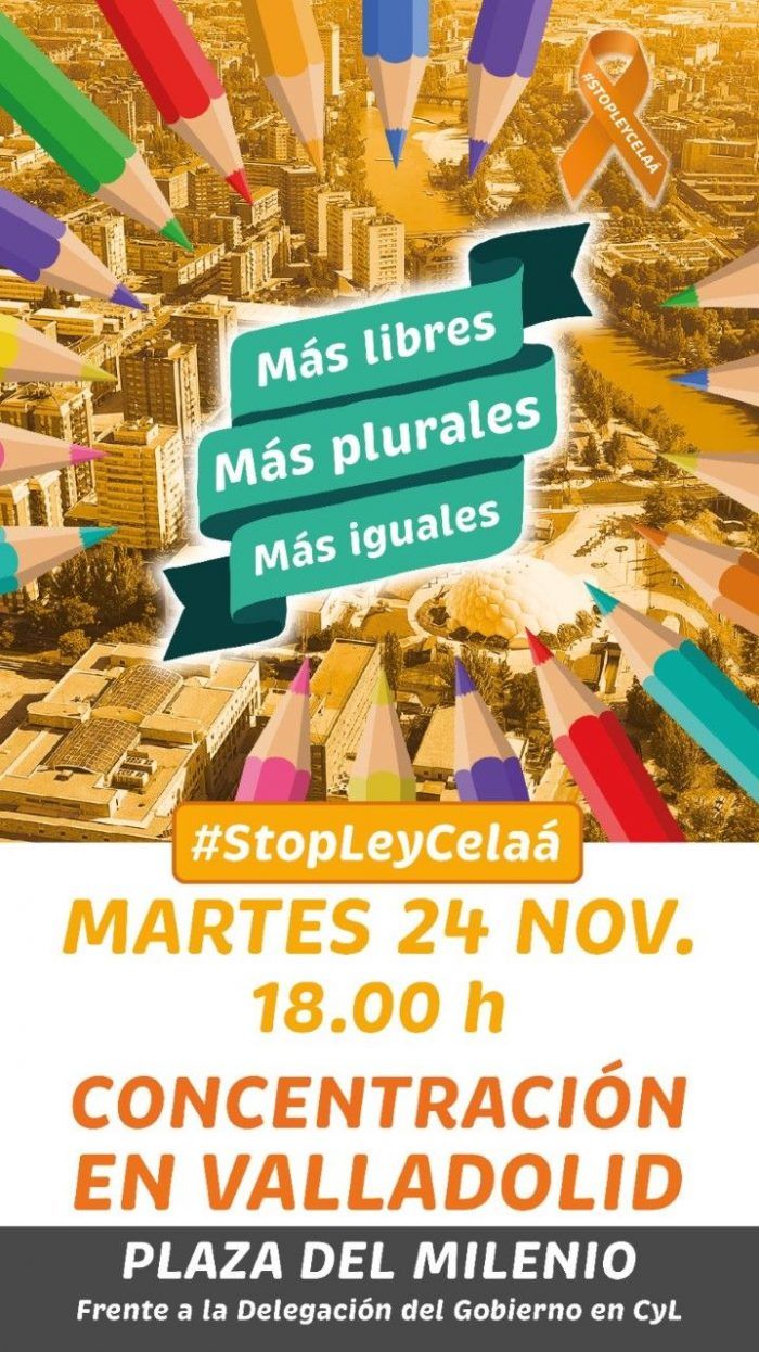 Concentración más plurales 24 nov